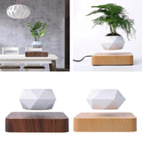 Maxbell Levitating Air Plant Pot Bonsai Suspension Floating Flower Pot Planter Deep