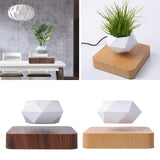 Maxbell Levitating Air Plant Pot Bonsai Suspension Floating Flower Pot Planter Deep