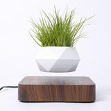 Maxbell Levitating Air Plant Pot Bonsai Suspension Floating Flower Pot Planter Deep