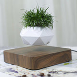 Maxbell Levitating Air Plant Pot Bonsai Suspension Floating Flower Pot Planter Deep