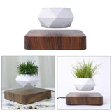Maxbell Levitating Air Plant Pot Bonsai Suspension Floating Flower Pot Planter Deep