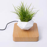 Maxbell Levitating Air Bonsai Pot Potted Plant Aerial Flower Pots Home Planter Light
