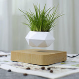 Maxbell Levitating Air Bonsai Pot Potted Plant Aerial Flower Pots Home Planter Light