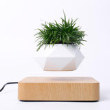 Maxbell Levitating Air Bonsai Pot Potted Plant Aerial Flower Pots Home Planter Light