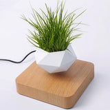 Maxbell Levitating Air Bonsai Pot Potted Plant Aerial Flower Pots Home Planter Light