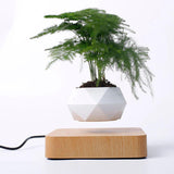 Maxbell Levitating Air Bonsai Pot Potted Plant Aerial Flower Pots Home Planter Light