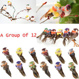 12Pcs Artificial Bird Perched Woodland Fake Feather Birds Garden Decor Claw