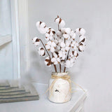 Natural Dried Cotton Flower Stem Floral Branch for Home Decor 7 Bolls 6pcs