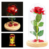 Eternal Rose LED Day Mother's Fresh Roses LED Lights Birthday Gift for Her