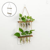 Maxbell Hanging Glass Vase Flower Plant Hydroponics Bottle Test Tube Container Decor