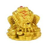 Feng Shui Money Frog Coin Toad Chan Chu Attract Wealth Lucky Fortune Gifts