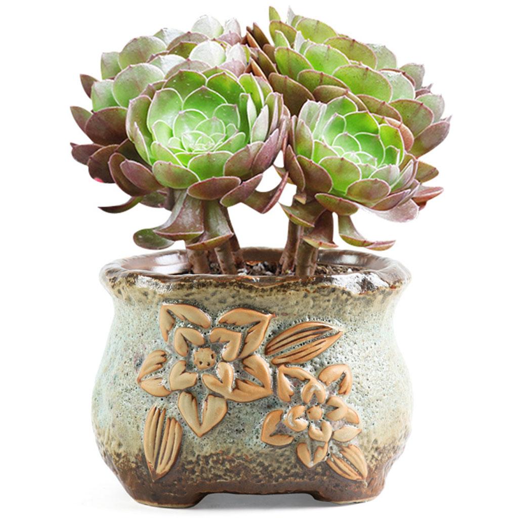 Maxbell  Succulent Plant Pot Cactus Flower Pot Decor Planter Pots Green 5.6x4.9x3.9in