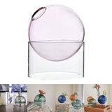 Maxbell  Art Clear Round Glass Vase Tabletop Terrarium Container Bud Pot Home Decor Pink Short