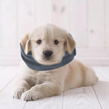 Maxbell Dog Ear Wrap Dog Costume Winter Snood Headband for Noise Protection  S Grey