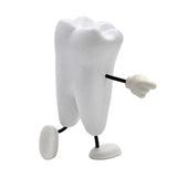 Maxbell Tooth Figure Toy Soft PU High Quality Relieve Pressure Tooth Model