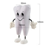 Maxbell Tooth Figure Toy Soft PU High Quality Relieve Pressure Tooth Model