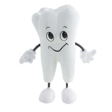 Maxbell Tooth Figure Toy Soft PU High Quality Relieve Pressure Tooth Model