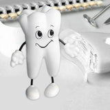 Maxbell Tooth Figure Toy Soft PU High Quality Relieve Pressure Tooth Model