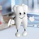 Maxbell Tooth Figure Toy Soft PU High Quality Relieve Pressure Tooth Model