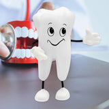 Maxbell Tooth Figure Toy Soft PU High Quality Relieve Pressure Tooth Model