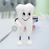 Maxbell Tooth Figure Toy Soft PU High Quality Relieve Pressure Tooth Model
