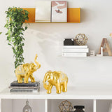 Maxbell 2x Lucky Feng Shui Elephant Statue Sculpture Wealth Figurine Gift Home Decor Gold