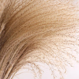 Maxbell Dried Pampas Grass Reeds Flower Floral Arrangements for Table Centerpiece
