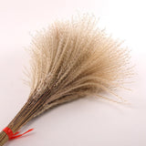 Maxbell Dried Pampas Grass Reeds Flower Floral Arrangements for Table Centerpiece