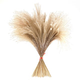 Maxbell Dried Pampas Grass Reeds Flower Floral Arrangements for Table Centerpiece