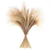 Maxbell Dried Pampas Grass Reeds Flower Floral Arrangements for Table Centerpiece