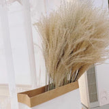 Maxbell Dried Pampas Grass Reeds Flower Floral Arrangements for Table Centerpiece