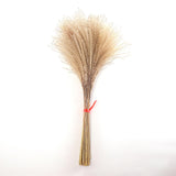 Maxbell Dried Pampas Grass Reeds Flower Floral Arrangements for Table Centerpiece