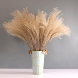 Maxbell Dried Pampas Grass Reeds Flower Floral Arrangements for Table Centerpiece