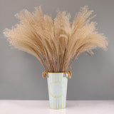 Maxbell Dried Pampas Grass Reeds Flower Floral Arrangements for Table Centerpiece