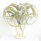 Maxbell Flower Vase Stand Rack Holder Display Desktop Dried Flower Home Dinner Gold