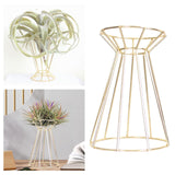 Maxbell Flower Vase Stand Rack Holder Display Desktop Dried Flower Home Dinner Gold