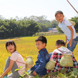 Maxbell Bamboo Basket Planter Vase Organizer for Floral Arrangement Kitchen Home 12x16cm