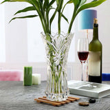 Maxbell Glass Flower Vase Holder Flowerpot Bunch Planters for Home Decor cabbage