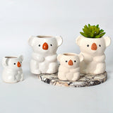 Maxbell Ceramic Flower Pot Indoor Bonsai Pots Flowerpot Small Planter White 4inch