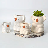 Maxbell Ceramic Flower Pot Indoor Bonsai Pots Flowerpot Small Planter White 4inch