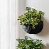 Maxbell Modern Wall Planter Self Watering Pot Plant Hanger for Floral Indoor Outdoor Black