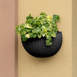 Maxbell Modern Wall Planter Self Watering Pot Plant Hanger for Floral Indoor Outdoor Black