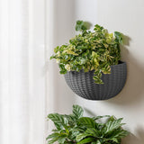 Maxbell Modern Wall Planter Self Watering Pot Plant Hanger for Floral Indoor Outdoor Silver Gray