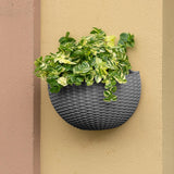 Maxbell Modern Wall Planter Self Watering Pot Plant Hanger for Floral Indoor Outdoor Silver Gray