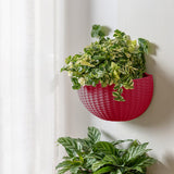 Maxbell Modern Wall Planter Self Watering Pot Plant Hanger for Floral Indoor Outdoor Wine Red