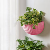 Maxbell Modern Wall Planter Self Watering Pot Plant Hanger for Floral Indoor Outdoor Pink