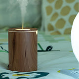 Maxbell Mini 320ml Air Humidifier USB Charging Silent for Indoor Living Room Dark Color