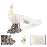 Maxbell Lifelike Peacock Figure Statue for Birthday Gift Indoor Outdoor Toy