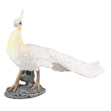 Maxbell Lifelike Peacock Figure Statue for Birthday Gift Indoor Outdoor Toy