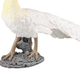 Maxbell Lifelike Peacock Figure Statue for Birthday Gift Indoor Outdoor Toy